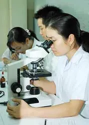 Giải pháp chiến lược cho giáo dục đại học