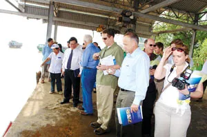 Phóng sự ảnh ảnh 3