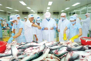 Phóng sự ảnh ảnh 4