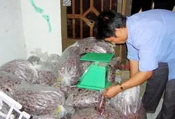 TPHCM: Chưa an tâm với thực phẩm tết ảnh 2