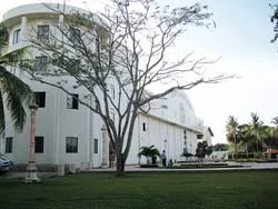 Nhức nhối cờ bạc vùng biên ảnh 4