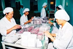 Giá thuốc lại tăng ảnh 2