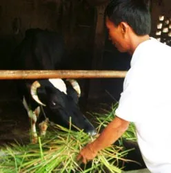 Bộ Y tế không “minh oan” hay “đính chính” cho Hanoimilk