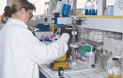 Những bằng cấp “chống  khủng hoảng”