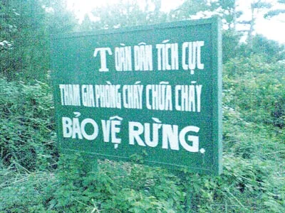 Bảng bảo vệ rừng đã được khai quang