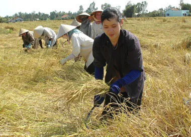 Những bài học lạ về kích cầu hiệu quả*