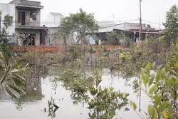 Người dân khổ vì đê bao bị vỡ ảnh 2