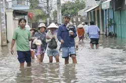 Người dân khổ vì đê bao bị vỡ