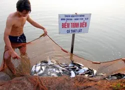 Tết này họ đã thoát nghèo...