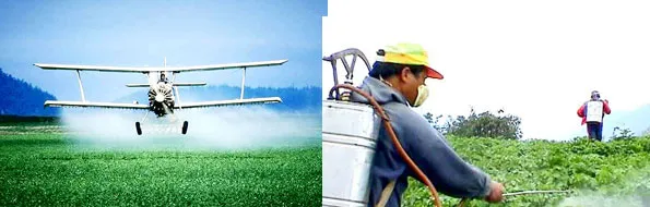 Châu Âu: Giảm thuốc trừ sâu để phát triển bền vững