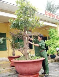 Tết ở một đồn biên phòng