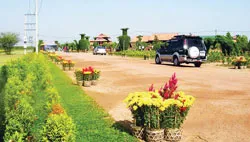 Làng hoa, cây kiểng và cá cảnh Củ Chi : Những phác thảo ấn tượng