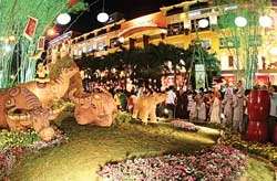 Tổng Bí thư Nông Đức Mạnh chúc tết Đảng bộ, chính quyền và nhân dân thủ đô ảnh 3