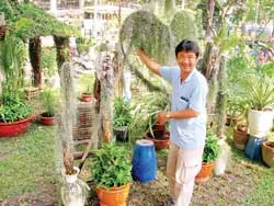 Về với cội nguồn