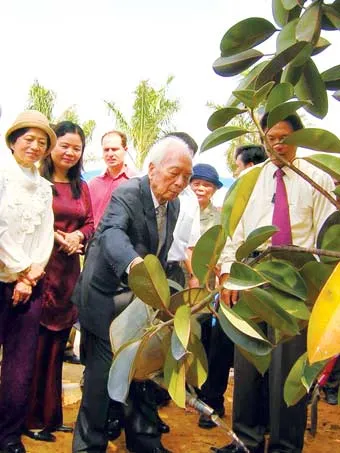 Căn nhà Đại tướng ảnh 2