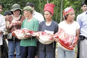 Khoảnh khắc nhớ mãi ảnh 3