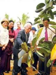 Căn nhà Đại tướng ảnh 2