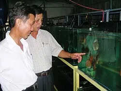 Cá cảnh trong cơ cấu nông nghiệp đô thị