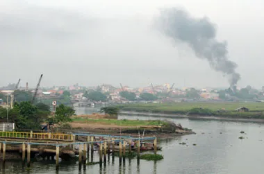 Đầu tư trực tiếp nước ngoài, an ninh lương thực, hoạt động DNNN