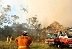Australia: 35 người chết do hỏa hoạn lan rộng
