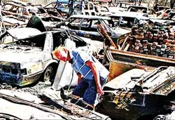 Australia: Nỗ lực chống thảm họa cháy rừng