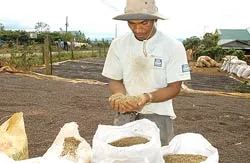 Kích cầu nông nghiệp