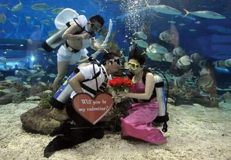 Ngày Valentine khắp nơi