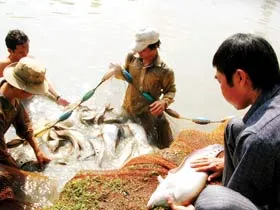 Bộ trưởng Bộ NN-PTNT Cao Đức Phát: Sát cánh cùng doanh nghiệp