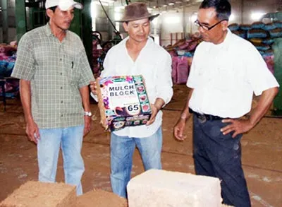 Người biến “rác” thành tiền!