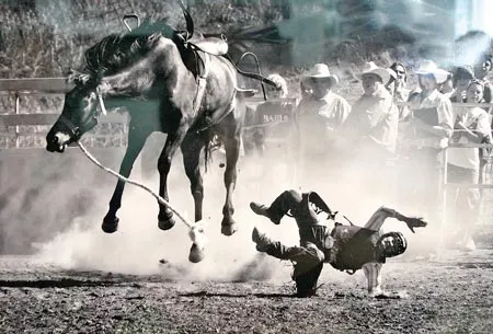 Khai mạc triển lãm cuộc thi ảnh Quốc tế