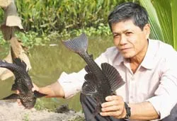 Chuyện báo động ở ĐBSCL: Nuôi cá ta, thu hoạch… cá “Tây”!
