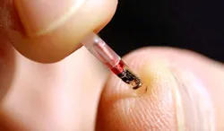Những lĩnh vực phát minh chính trong 10 năm tới