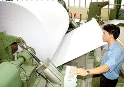 Ngành giấy lao đao