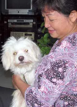 Thời nay “bánh đúc có xương” ảnh 2