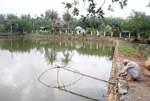 Bể bơi trên núi của ông Cò ảnh 2