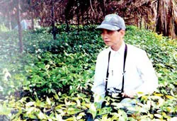 Nhà khoa học & “tình yêu” rừng ngập mặn