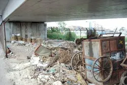 Nhếch nhác gầm cầu ảnh 2