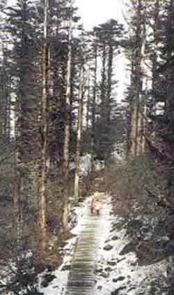 Tiên cảnh Nga My ảnh 2