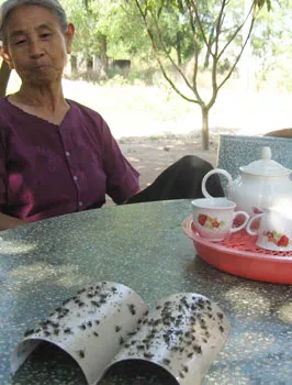 Trảng Dài: Ruồi “tấn công” nhà dân