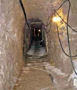 Chân dung tỷ phú thứ 701 trong bảng xếp hạng của Forbes ảnh 2