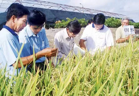 “3 biết” cho lao động nông thôn