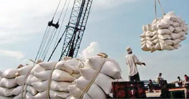 Doanh nghiệp “đói” nhưng nông dân vẫn khó tiêu thụ ảnh 2