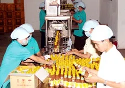 Khắc phục tình trạng công nghệ lạc hậu tại các doanh nghiệp KCX-KCN TPHCM : Cách nào?