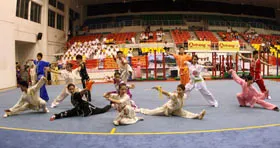 Giải vô địch wushu toàn quốc năm 2009: Đêm khai mạc sôi động