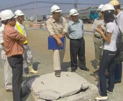 Dùng bê tông - cốt tre để... tiết kiệm