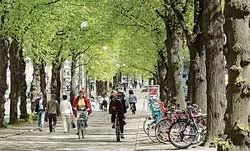 Các trường đại học châu Âu lo đối phó khủng hoảng