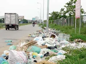 Rác đâu nhiều thế?