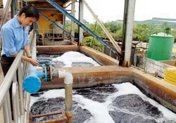 Nỗ lực nhưng vẫn còn… sạn