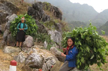 Nơi đỉnh trời đá khát ảnh 2