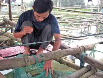 Người đánh thức làng cá